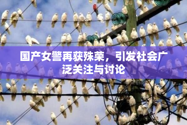 国产女警再获殊荣，引发社会广泛关注与讨论
