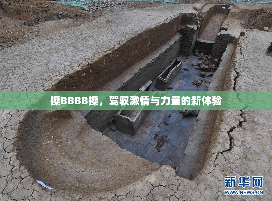 搡BBBB搡，驾驭激情与力量的新体验