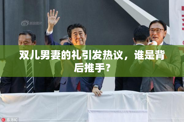 双儿男妻的礼引发热议，谁是背后推手？