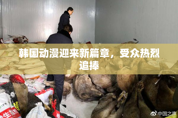 韩国动漫迎来新篇章，受众热烈追捧