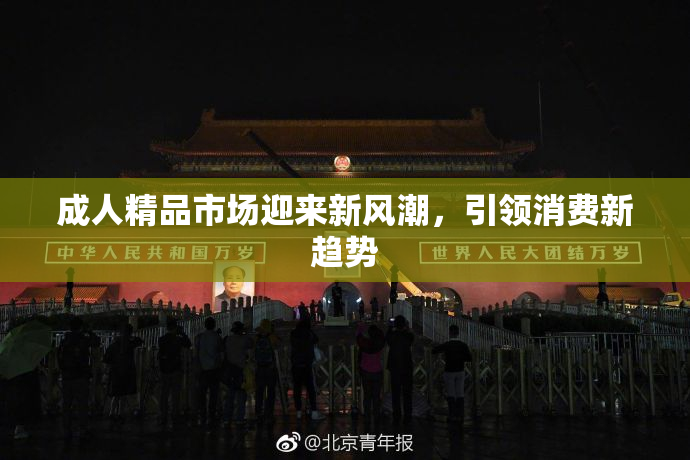 成人精品市场迎来新风潮，引领消费新趋势