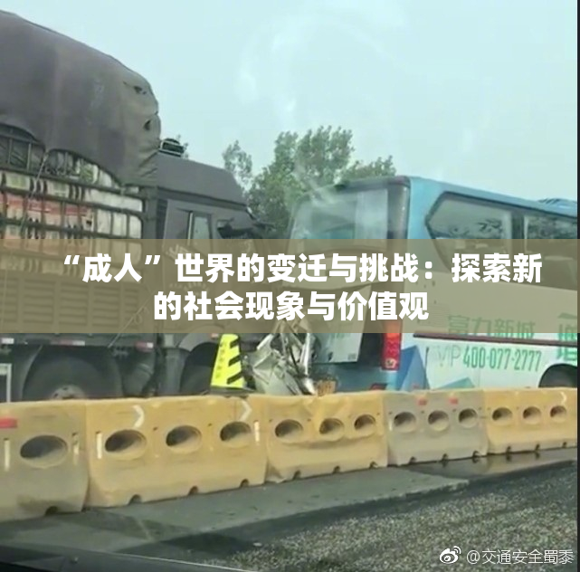 “成人”世界的变迁与挑战：探索新的社会现象与价值观