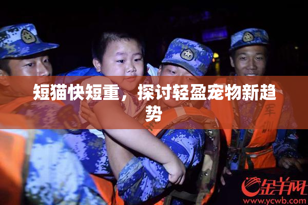 短猫快短重，探讨轻盈宠物新趋势