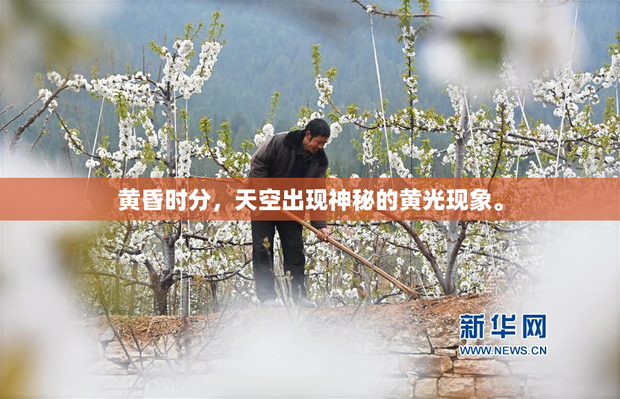 黄昏时分，天空出现神秘的黄光现象。