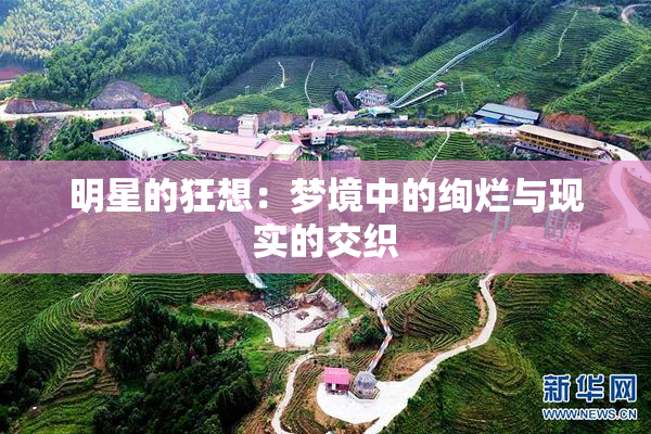 明星的狂想：梦境中的绚烂与现实的交织