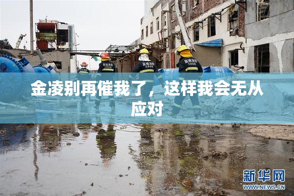 金凌别再催我了，这样我会无从应对