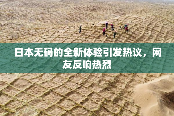 日本无码的全新体验引发热议，网友反响热烈