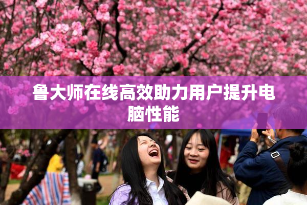 鲁大师在线高效助力用户提升电脑性能