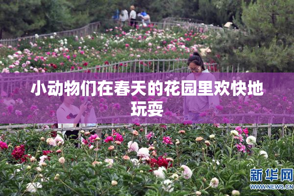 小动物们在春天的花园里欢快地玩耍