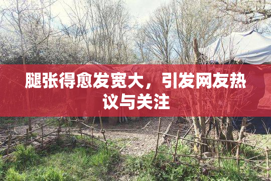 腿张得愈发宽大，引发网友热议与关注