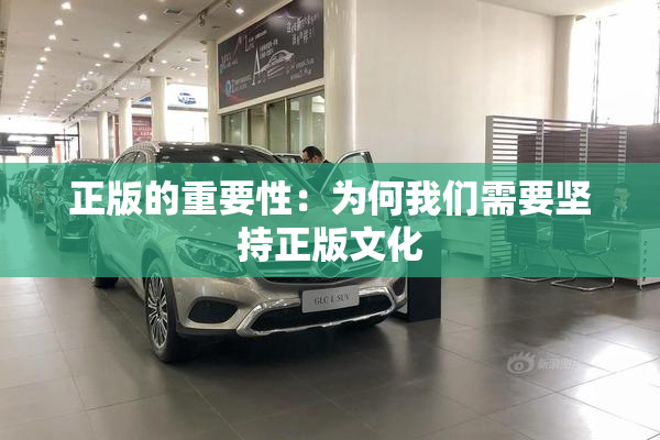 正版的重要性：为何我们需要坚持正版文化