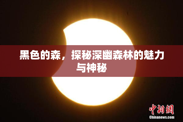 黑色的森，探秘深幽森林的魅力与神秘