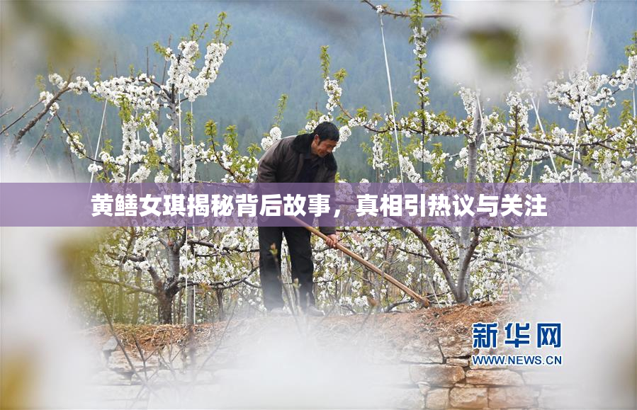 黄鳝女琪揭秘背后故事，真相引热议与关注