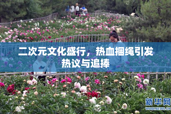 二次元文化盛行，热血捆绳引发热议与追捧