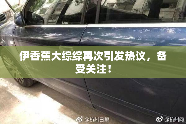 伊香蕉大综综再次引发热议，备受关注！