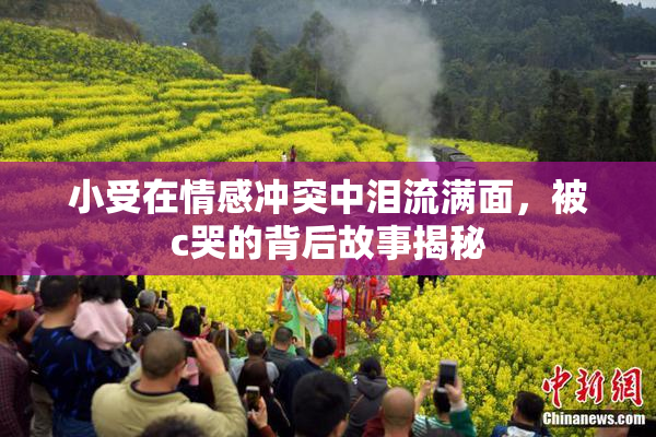 小受在情感冲突中泪流满面，被c哭的背后故事揭秘