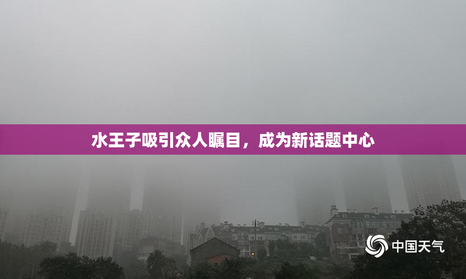 水王子吸引众人瞩目，成为新话题中心