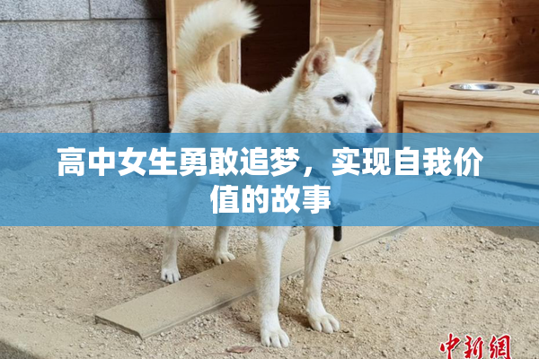 高中女生勇敢追梦，实现自我价值的故事