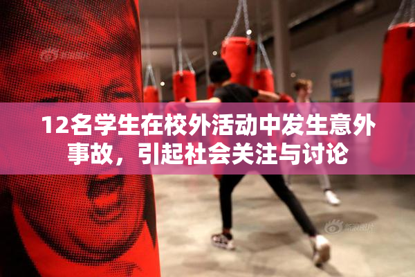 12名学生在校外活动中发生意外事故，引起社会关注与讨论