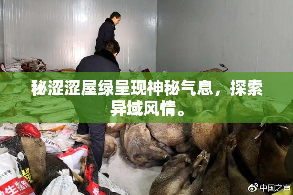 秘涩涩屋绿呈现神秘气息，探索异域风情。