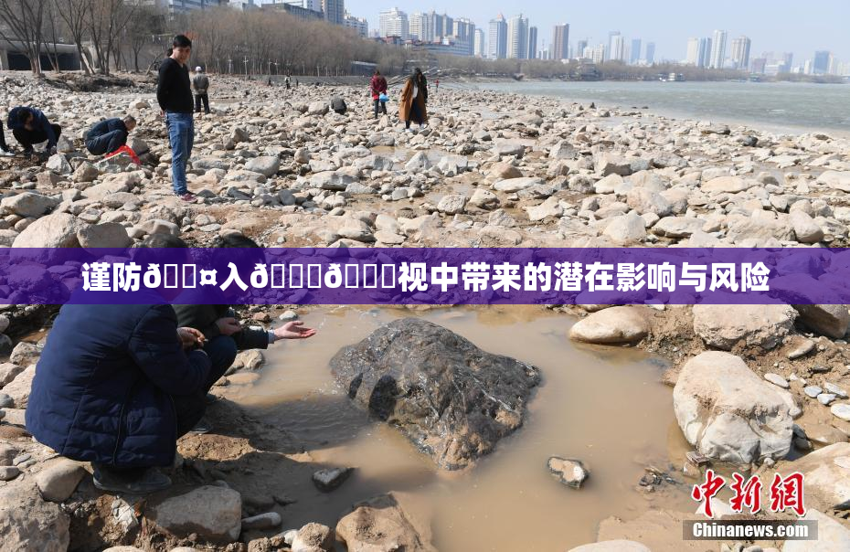 谨防🐤入🍑🍑视中带来的潜在影响与风险