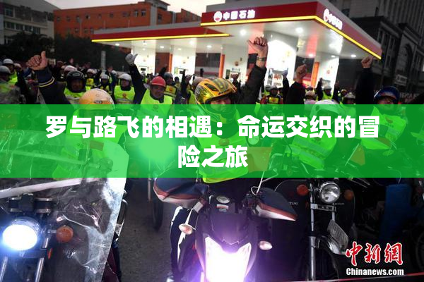 罗与路飞的相遇：命运交织的冒险之旅