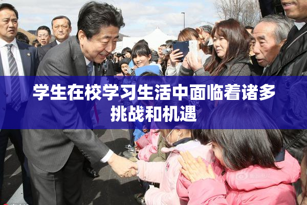 学生在校学习生活中面临着诸多挑战和机遇