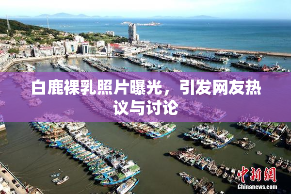白鹿裸乳照片曝光，引发网友热议与讨论
