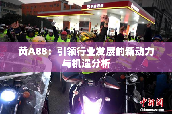 黄A88：引领行业发展的新动力与机遇分析