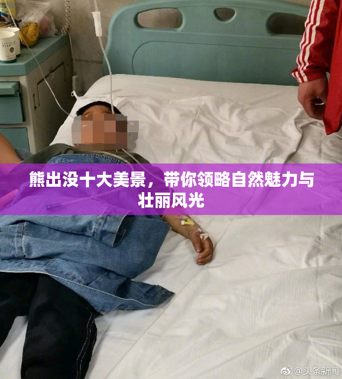 熊出没十大美景，带你领略自然魅力与壮丽风光