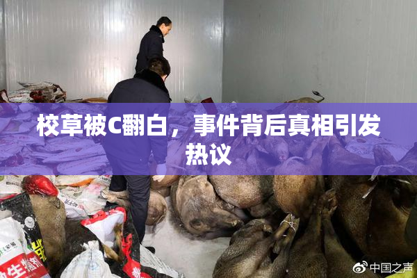 校草被C翻白，事件背后真相引发热议