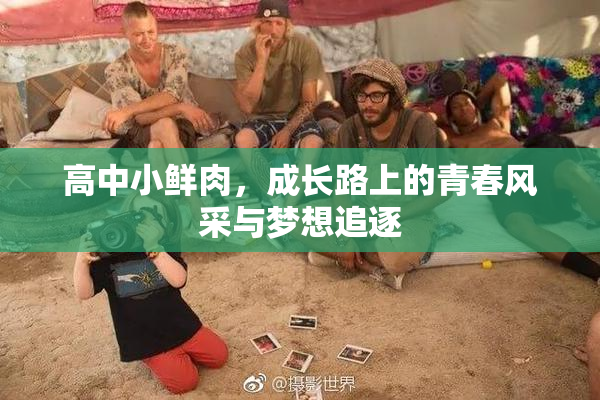 高中小鲜肉，成长路上的青春风采与梦想追逐