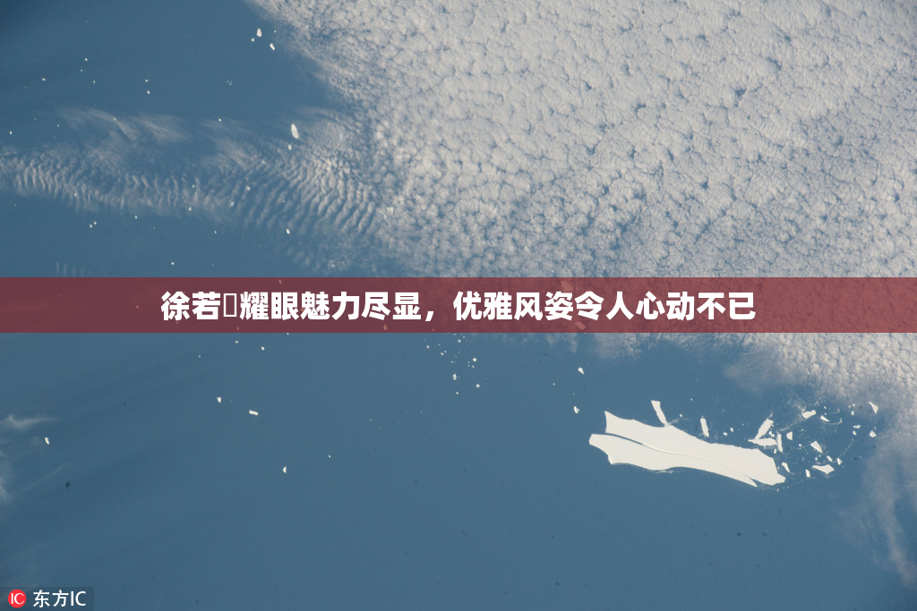 徐若瑄耀眼魅力尽显，优雅风姿令人心动不已