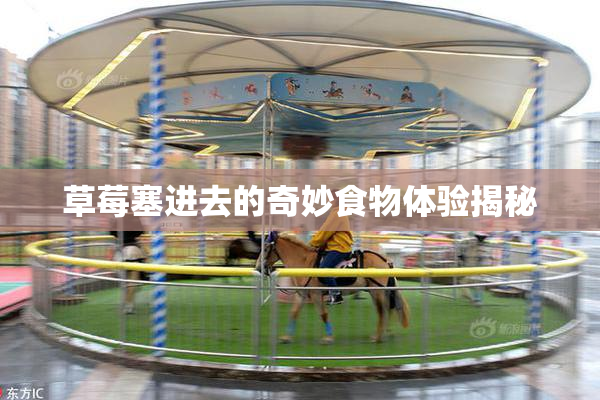 草莓塞进去的奇妙食物体验揭秘