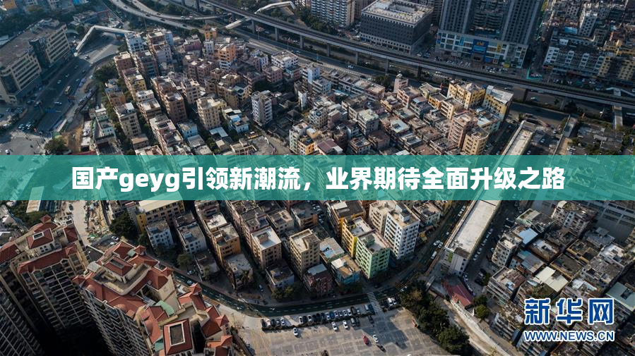 国产geyg引领新潮流，业界期待全面升级之路