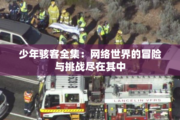少年骇客全集：网络世界的冒险与挑战尽在其中
