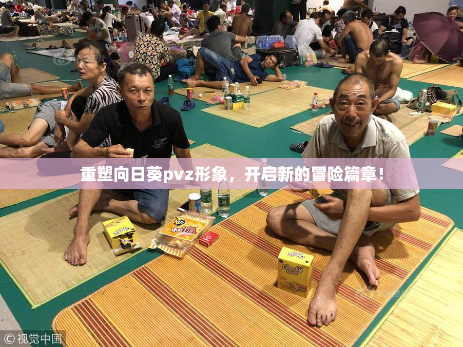 重塑向日葵pvz形象，开启新的冒险篇章！