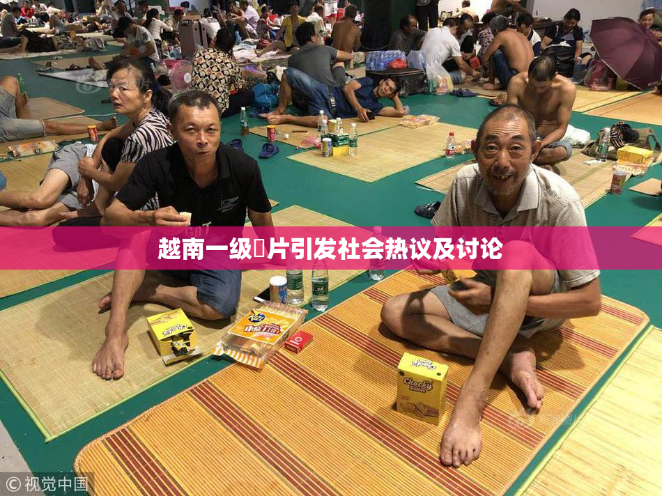 越南一级婬片引发社会热议及讨论
