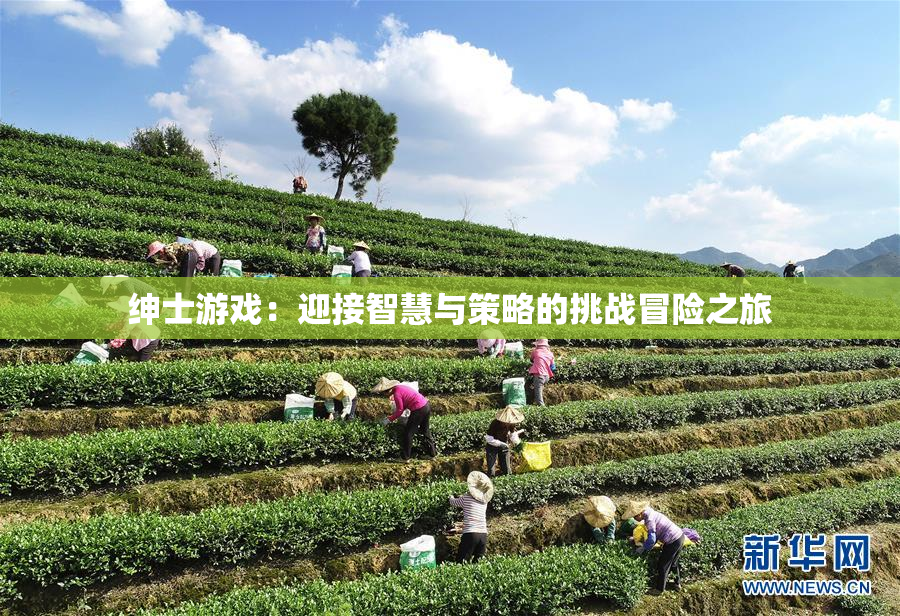 绅士游戏：迎接智慧与策略的挑战冒险之旅