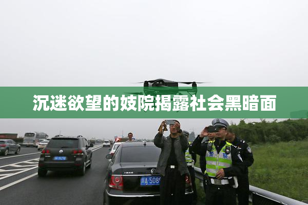 沉迷欲望的妓院揭露社会黑暗面