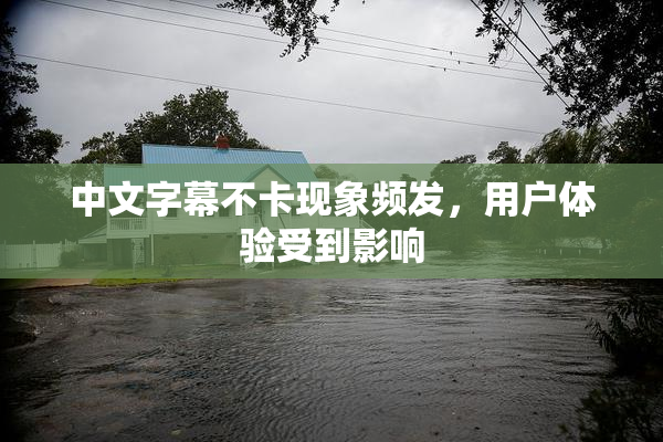 中文字幕不卡现象频发，用户体验受到影响