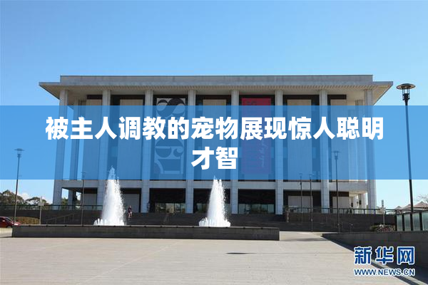 被主人调教的宠物展现惊人聪明才智