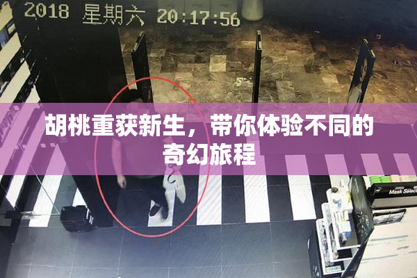 胡桃重获新生，带你体验不同的奇幻旅程
