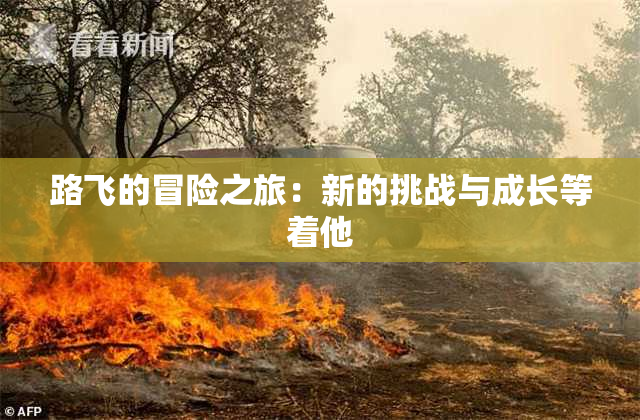 路飞的冒险之旅：新的挑战与成长等着他