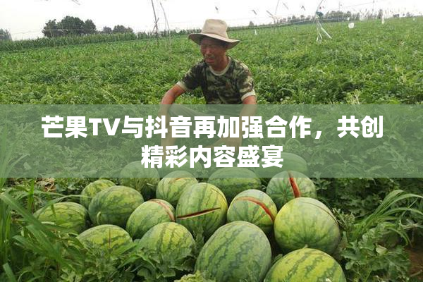 芒果TV与抖音再加强合作，共创精彩内容盛宴