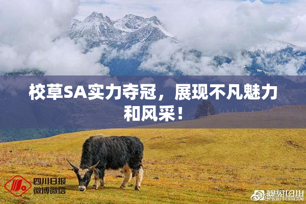 校草SA实力夺冠，展现不凡魅力和风采！