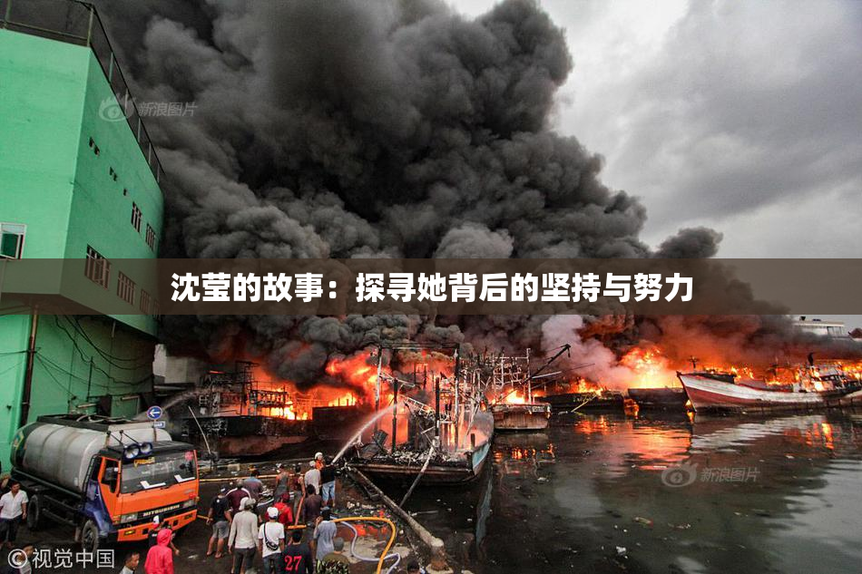 沈莹的故事：探寻她背后的坚持与努力
