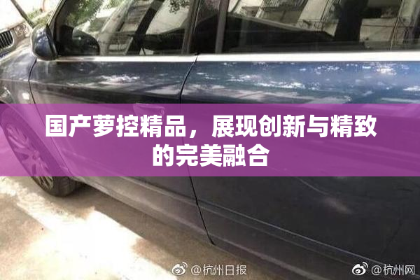 国产萝控精品，展现创新与精致的完美融合