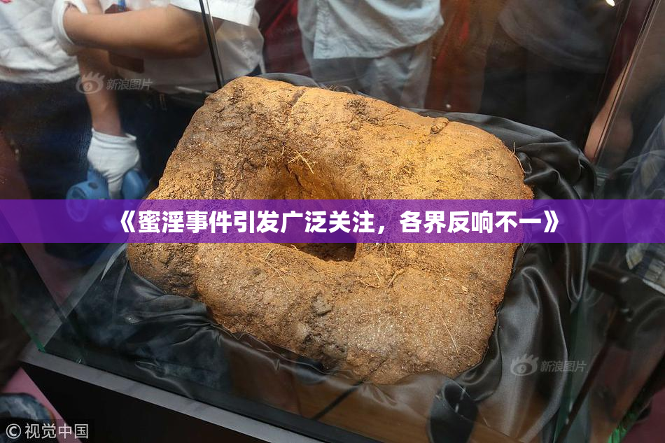 《蜜淫事件引发广泛关注，各界反响不一》