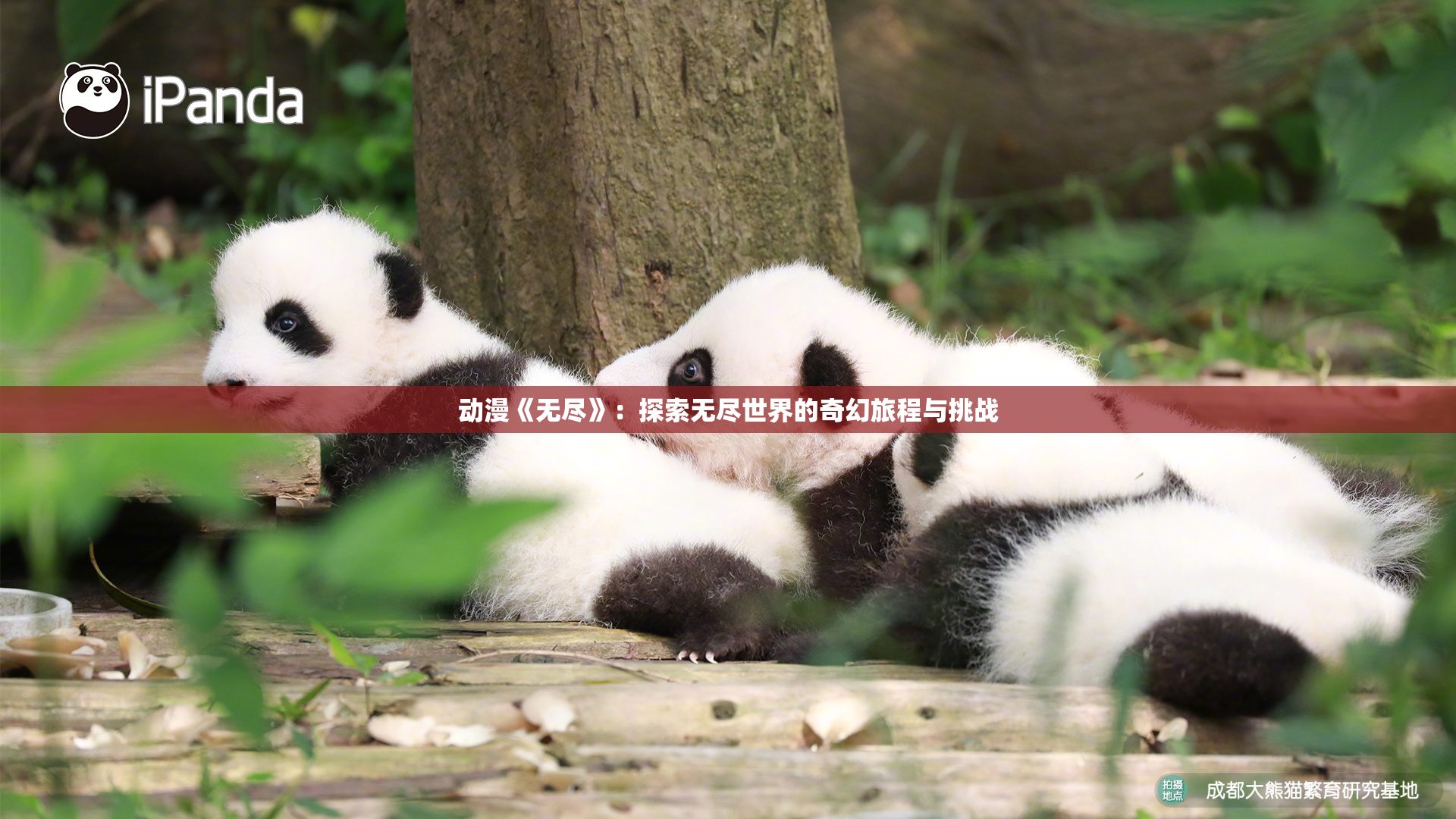 动漫《无尽》：探索无尽世界的奇幻旅程与挑战